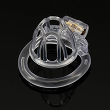 Load image into Gallery viewer, Linked Lover Chastity Cage - Sheer