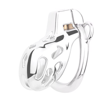 Load image into Gallery viewer, Guardian Chastity Cage