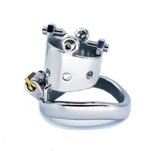 Load image into Gallery viewer, Spiked Exposure Chastity Cage