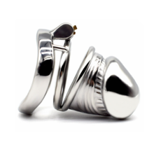 Load image into Gallery viewer, Plated Steel Chastity Cage